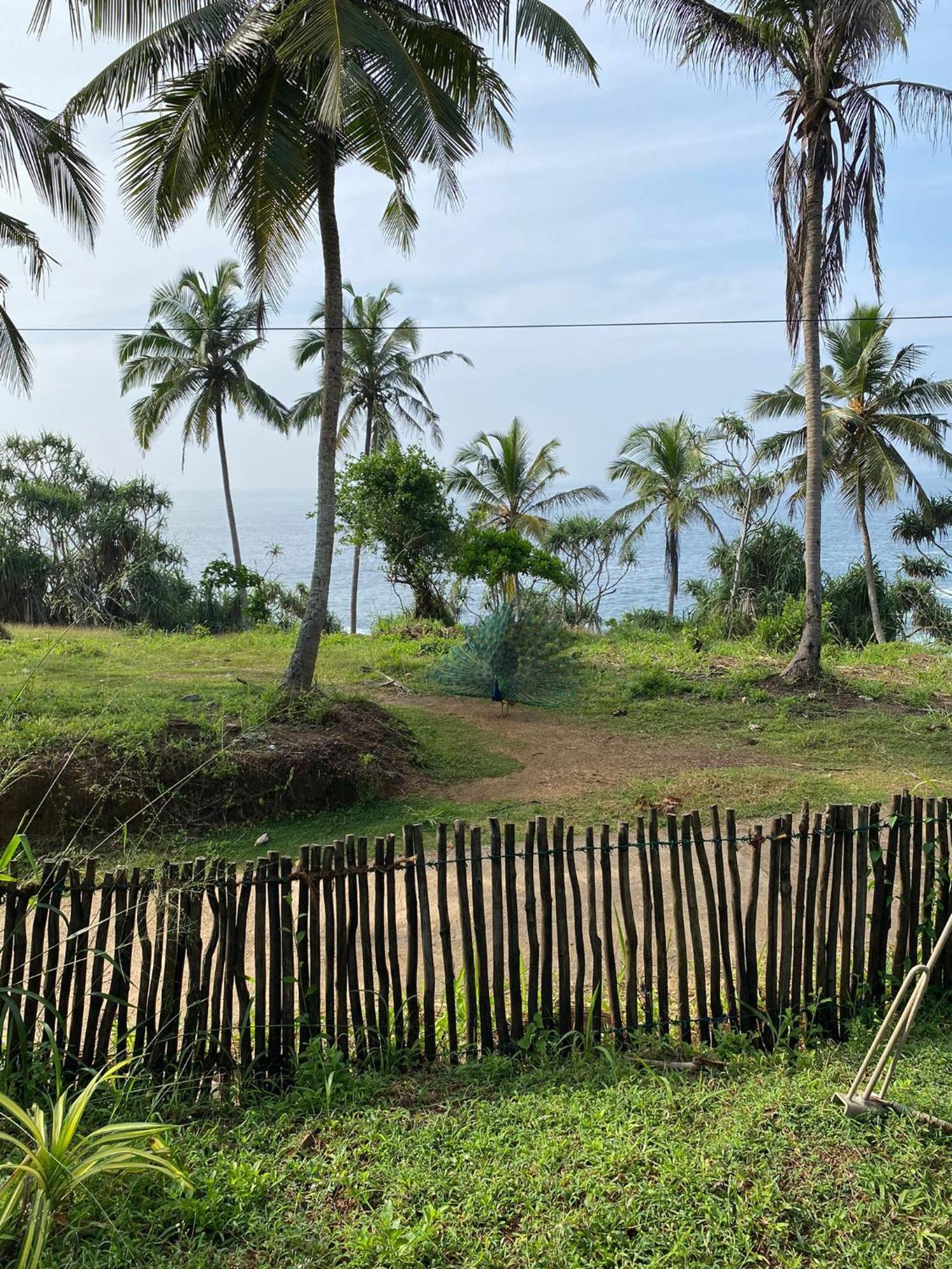 Tehan Homestay Dikwella Rom bilde