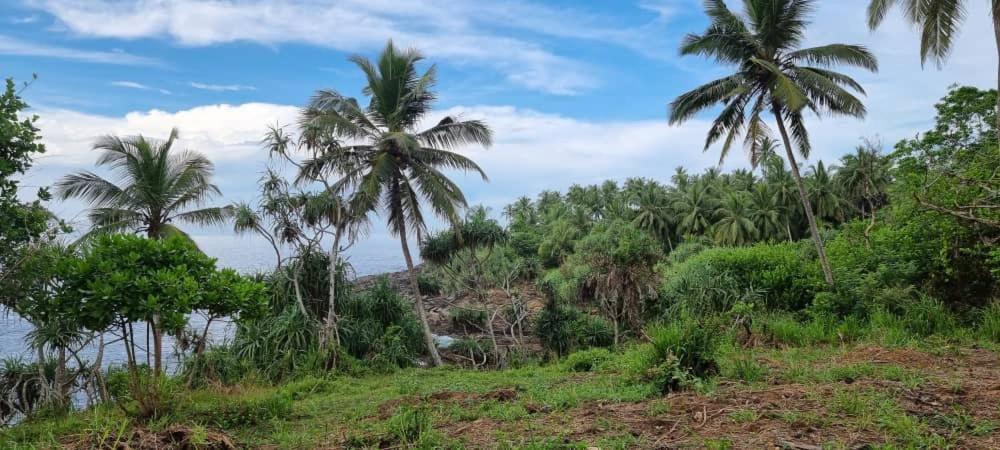 Tehan Homestay Dikwella Rom bilde
