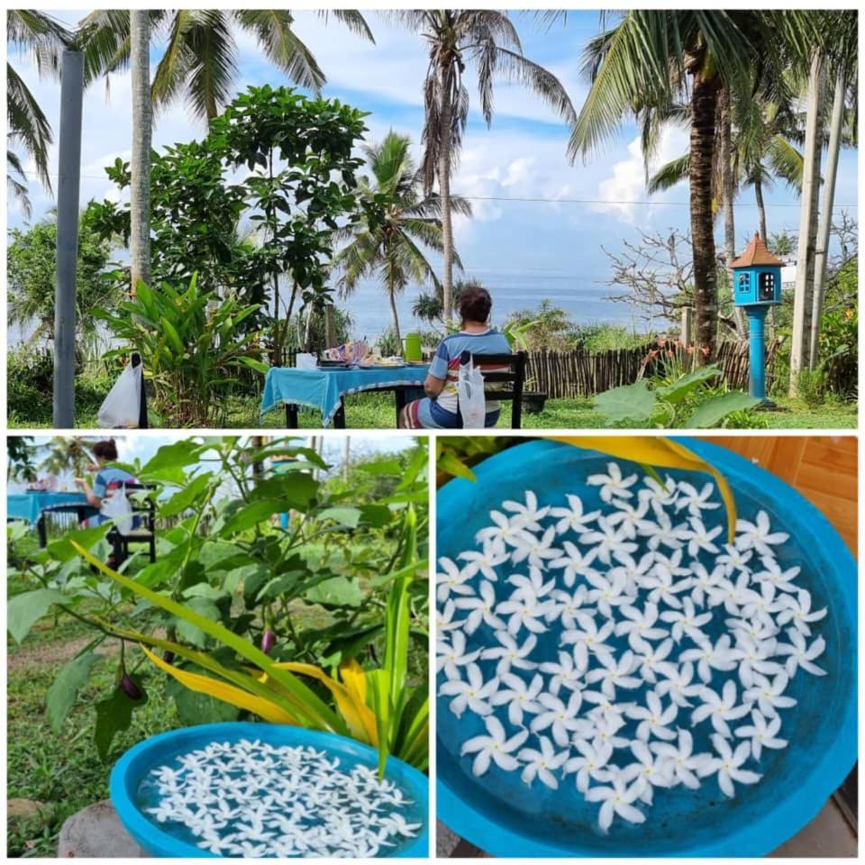 Tehan Homestay Dikwella Rom bilde